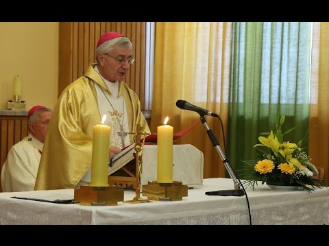 Govor apostolskog nuncija u Srbiji povodom godišnjice Paulinuma