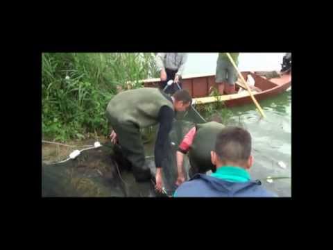 Test izlov ribe na trećem sektoru jezera Palić
