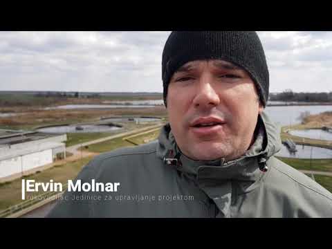 Ervin Molnar - Aktivnosti oko sanacije jezera Palić