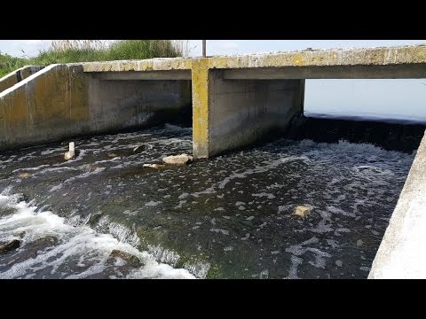 Preliv vode iz III i IV sektor jezera Palić