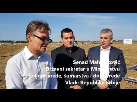 Senad Mahmutović izjava za medije na takmičenju risara u Đurđinu