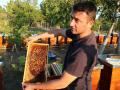 Pčelar Radomir Ivković - Ostao sam bez 131 pčelinjeg društva. Katastrofa!